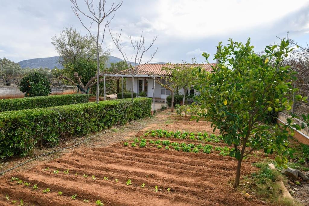 Villa Farmbill à Markópoulon Extérieur photo